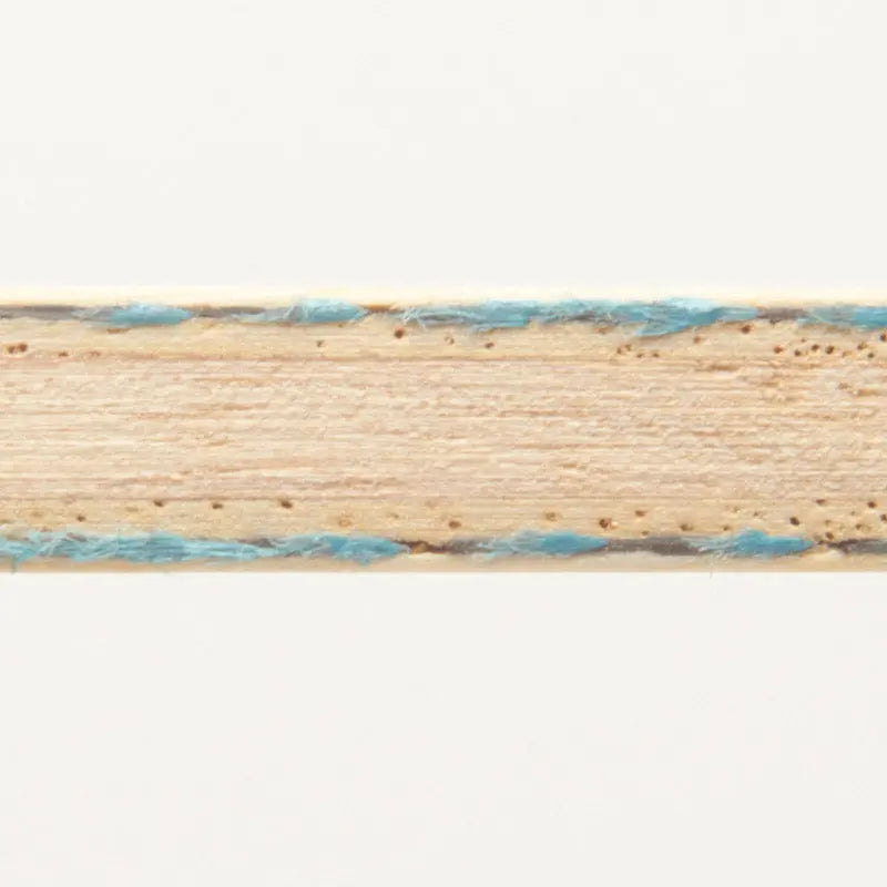 Donic  Esprit DONIC SE - tabletennisstore.eu